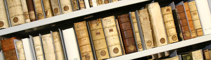 Regionale Sprache und Literatur im Wandel