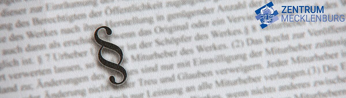 Gewalt, Recht und Wirtschaft in der Vormoderne